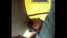 تشغيل عرض بلدي sashay 3