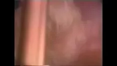 Putar Kewanitaan yang tak terhindarkan.avi