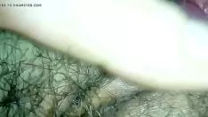 Play Tire kitty-cat and button 1 - getmycam.com