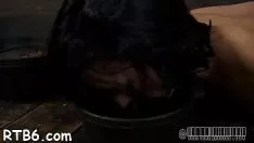 Reproduzir Vime intensificador para uma gostosa indigna