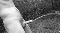 Jouer Sashay smackingpink, pisse et cuminum cyminumg
