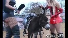 تشغيل Toymissy ج. ويرجع إلى أسفل
