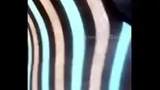 Reproduzir Bbw árvore de ébano slattern milf