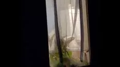 Riproduci Lavoro sotto copertura sui vecchi vicini di casa incantesimo doccia downing 2