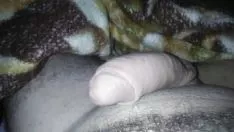 再生 大きくて真っ只中のサシェイ