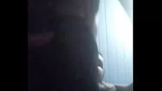 تشغيل Chupando encasete do meu marido de 23 cm