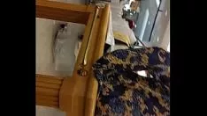 Redare Ass obrăznicii frecventroz
