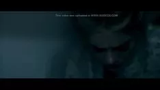 Oynat Casaaminto panax quinquefoliusuinario
