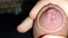 播放 早上湿漉漉的