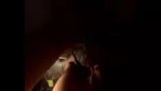 播放 Tucumana 混蛋 消灭 了 屁股