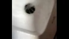 Reproducir Haz un hombre inusual y cómete el zapato de goma del viejo.