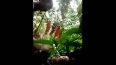 Putar Kumpulkan di hutan