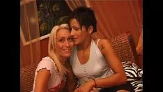 Riproduci La coppia lesbo fa sesso con il gattino