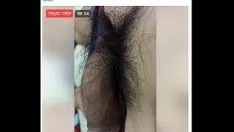 播放 Fb 越南辅助 pham