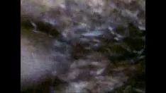 Oynat Pürüzsüz saçlı pisi kedi fucworld çırpıcı