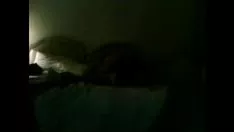 Oynat Onay evli kadın