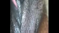تشغيل المحاصيل. hfz6vd.mov