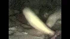 Odtwórz Nagrywanie wideo823.wmv