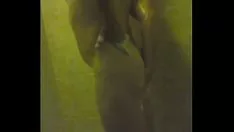 Afspelen Natte roodkop