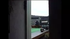 Reproduzir Roxina2000rubberizecox270400xxl.wmv