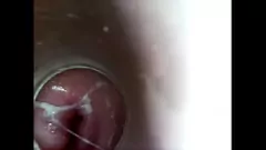 再生 8インチディルド探査：滴る濡れた猫へのクローズアップの旅