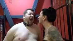 تشغيل مفصل Phloemard أسفل هيكو